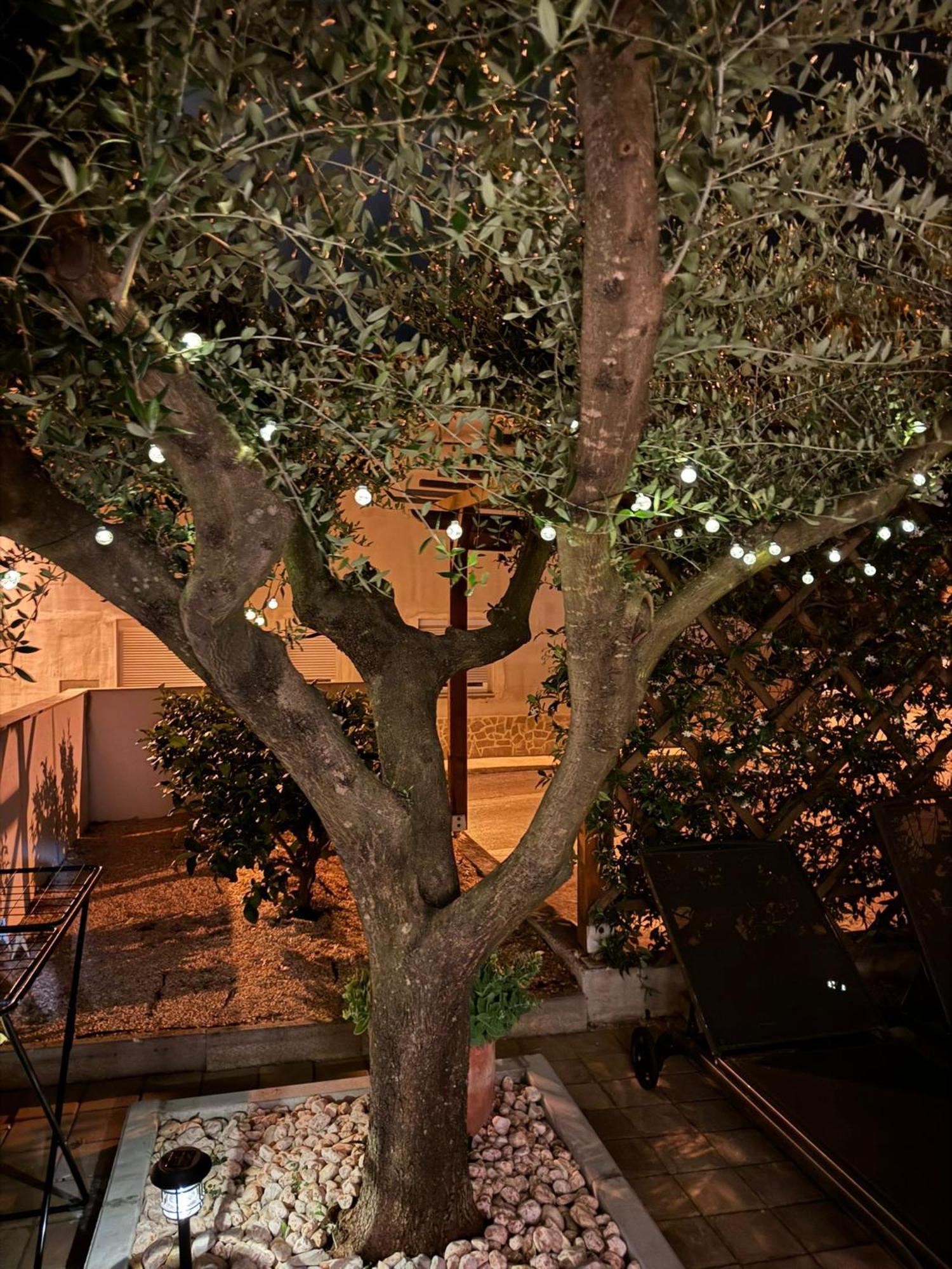 Apartments Noa Umag Zewnętrze zdjęcie
