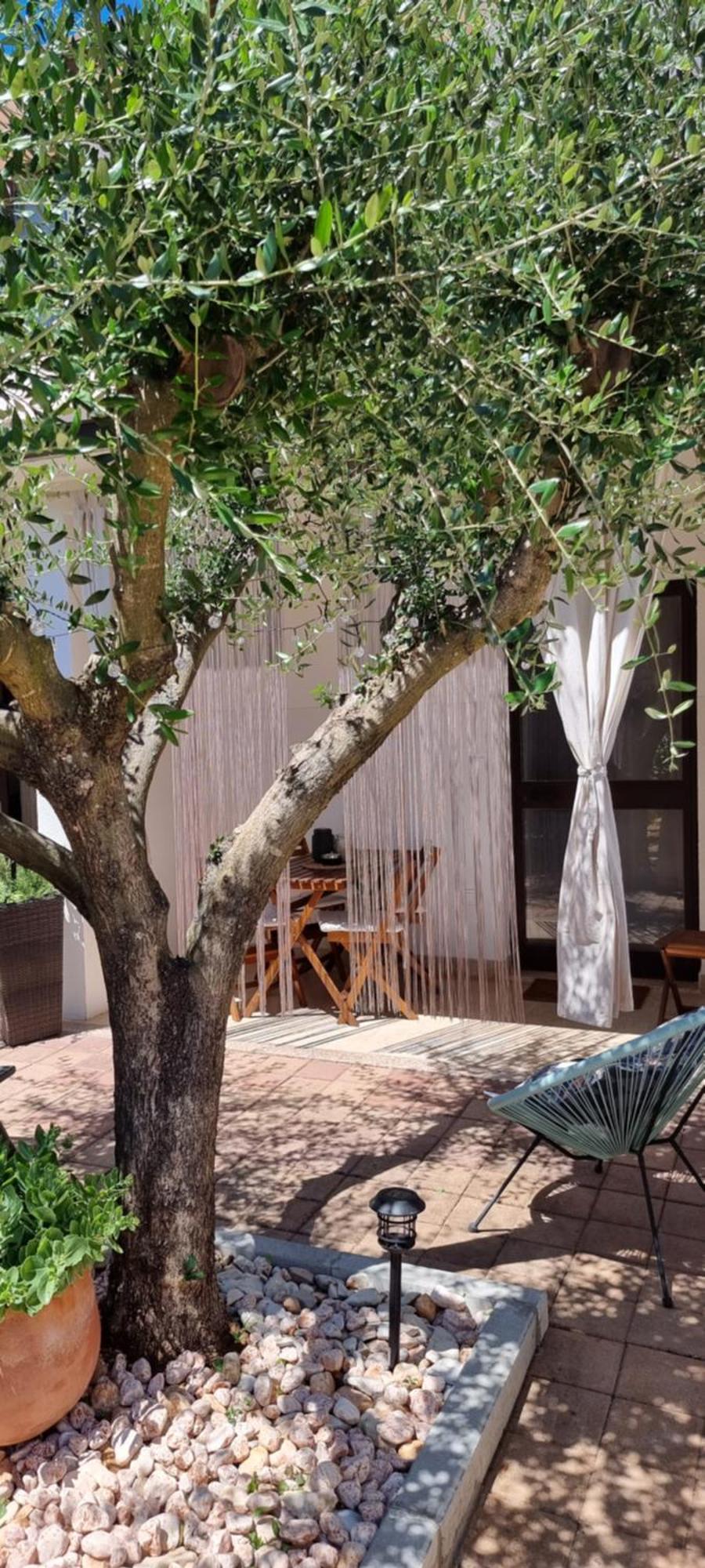 Apartments Noa Umag Zewnętrze zdjęcie